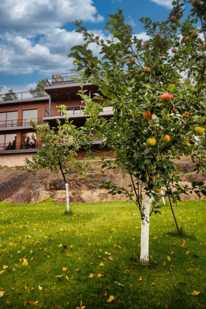 Отель Резиденция Северный сад