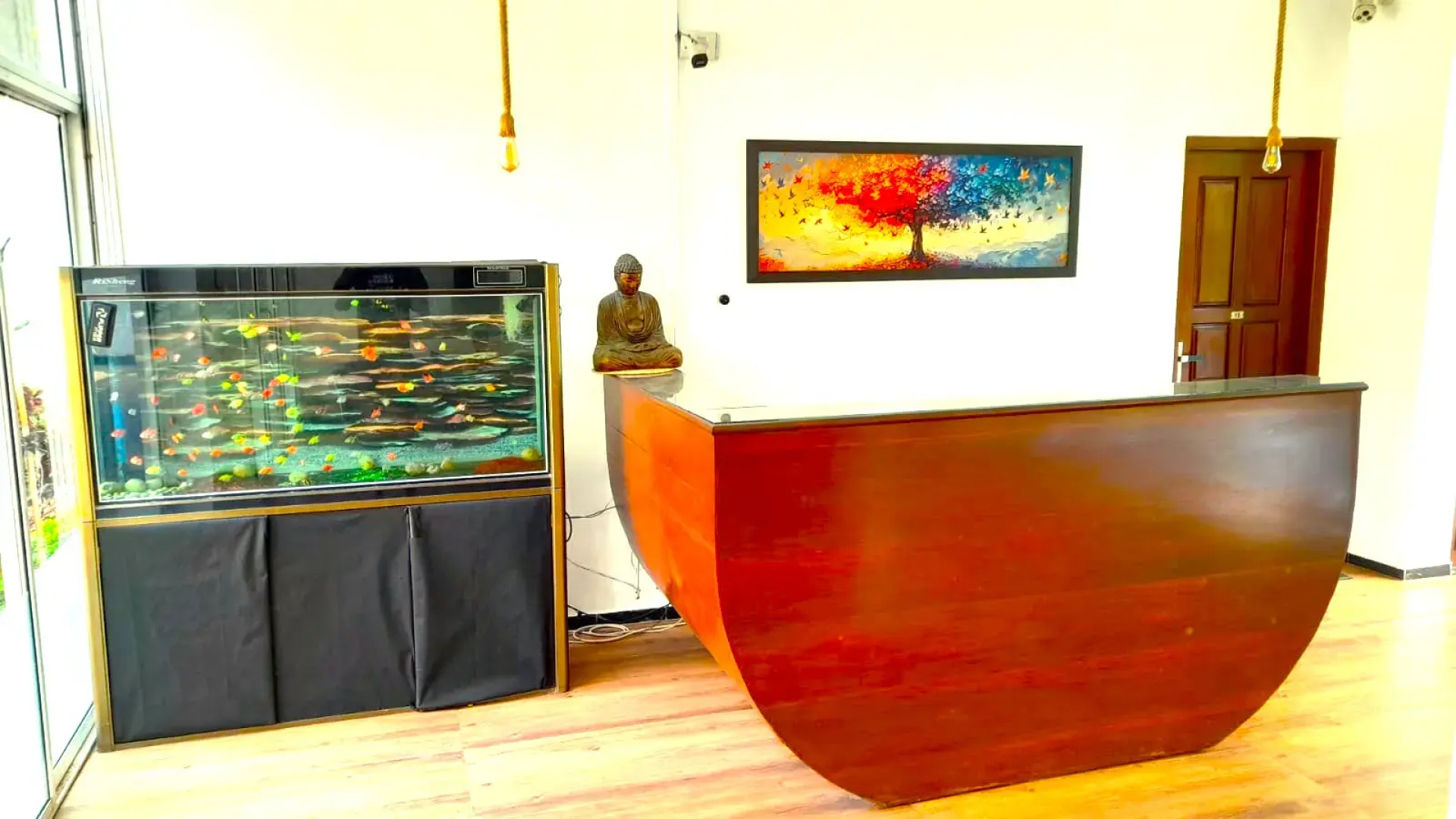 Отель Sea Breeze