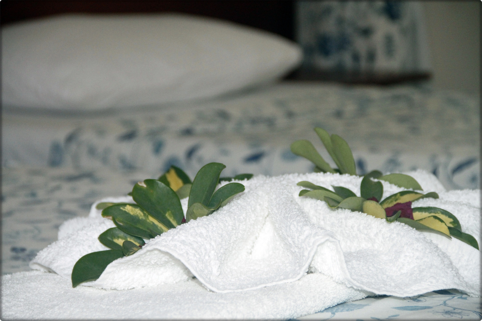 Отель Palme Royal