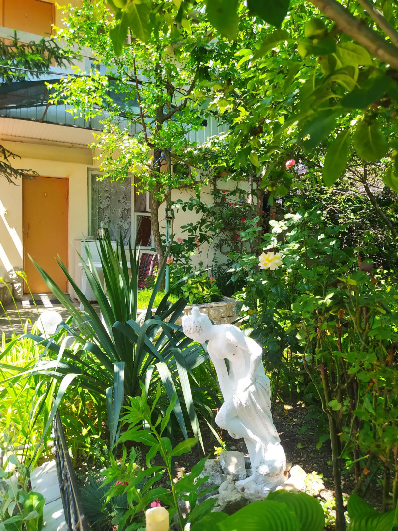 Меблированные комнаты Celica