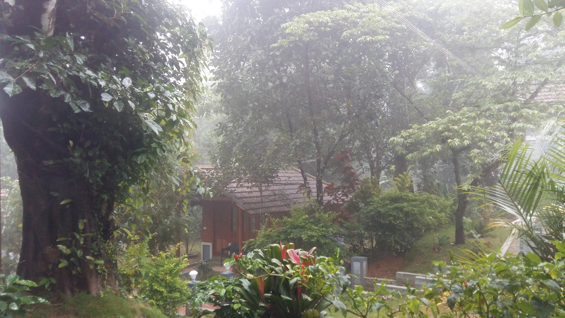 Отель Whispering woods coorg