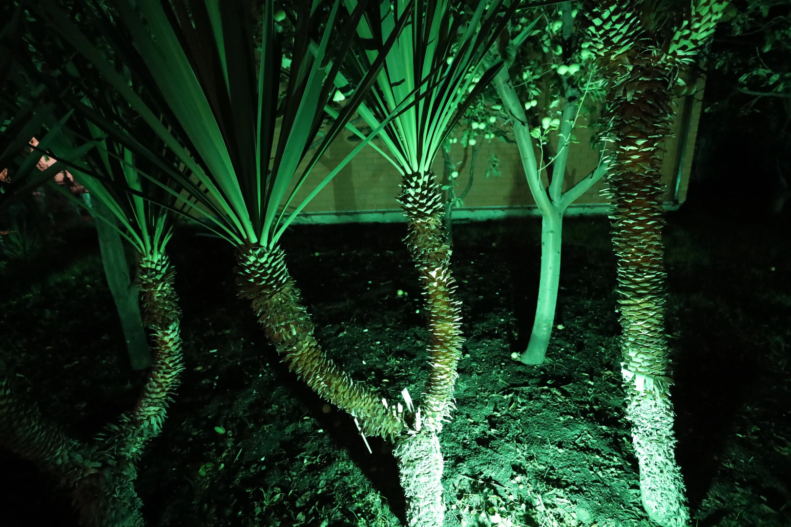 Гостевой дом Поющие в Терновнике