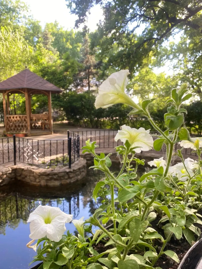 Отель Нобель