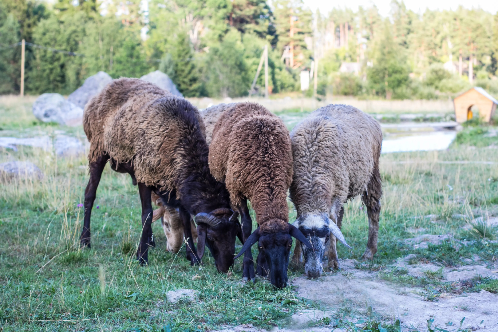 База отдыха Яркое
