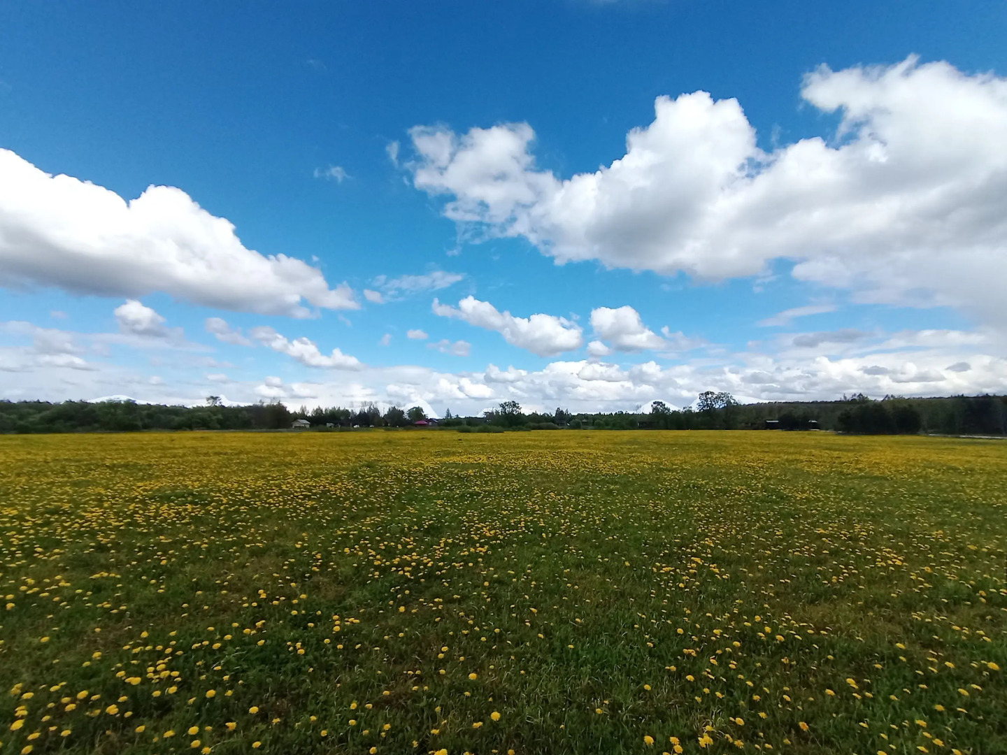 Гостевой дом в деревне Чернокуново