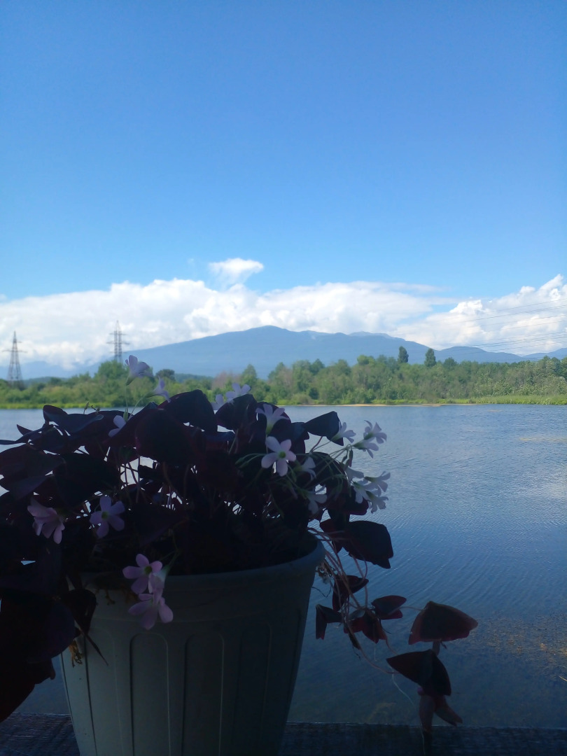 Гостевой дом в Пицунде у озера Наала