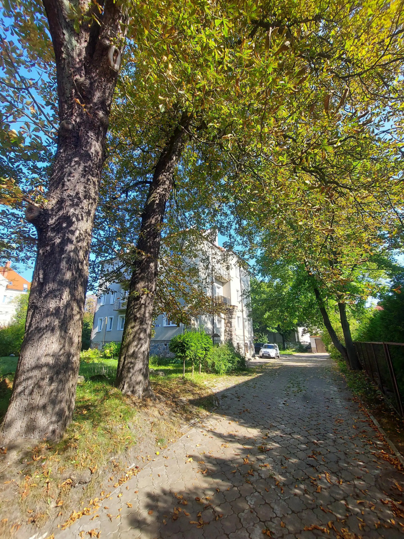 Квартира Белка