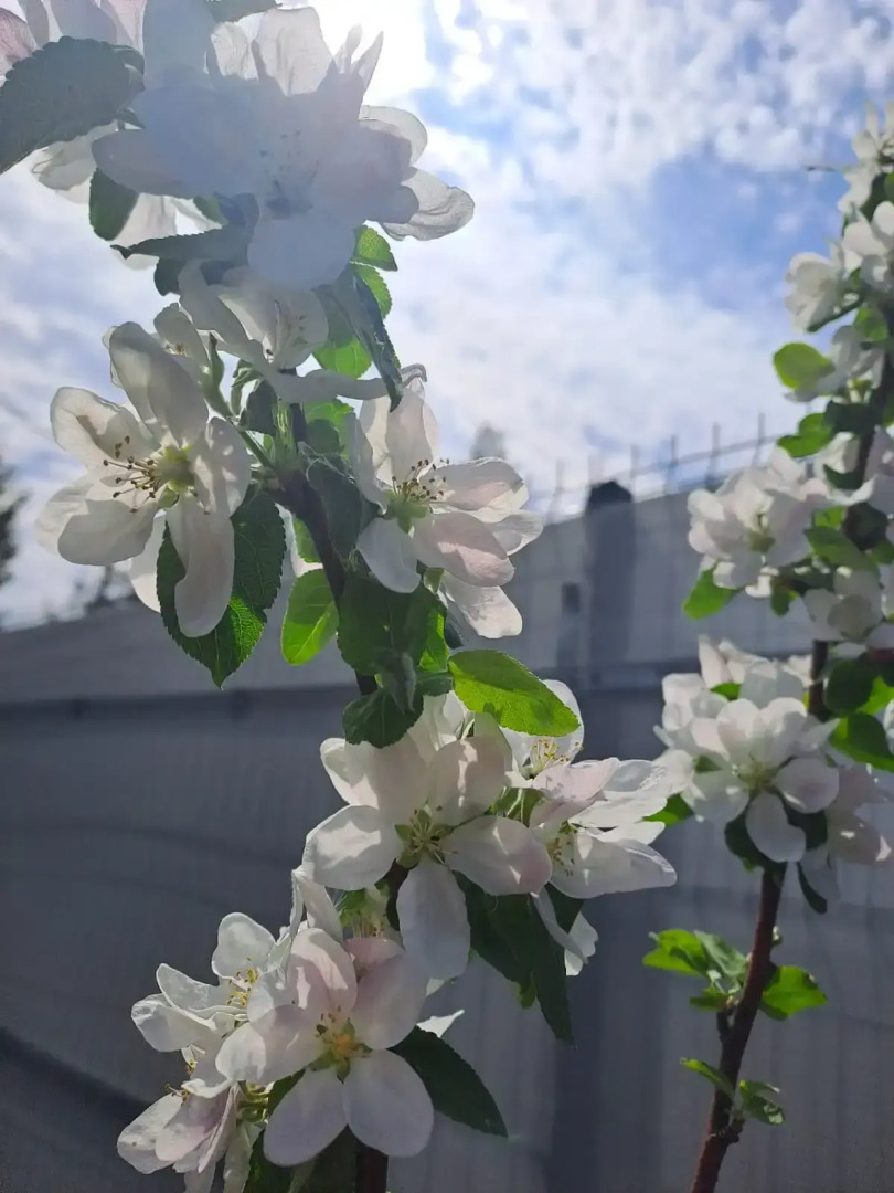 Частный дом У Залива