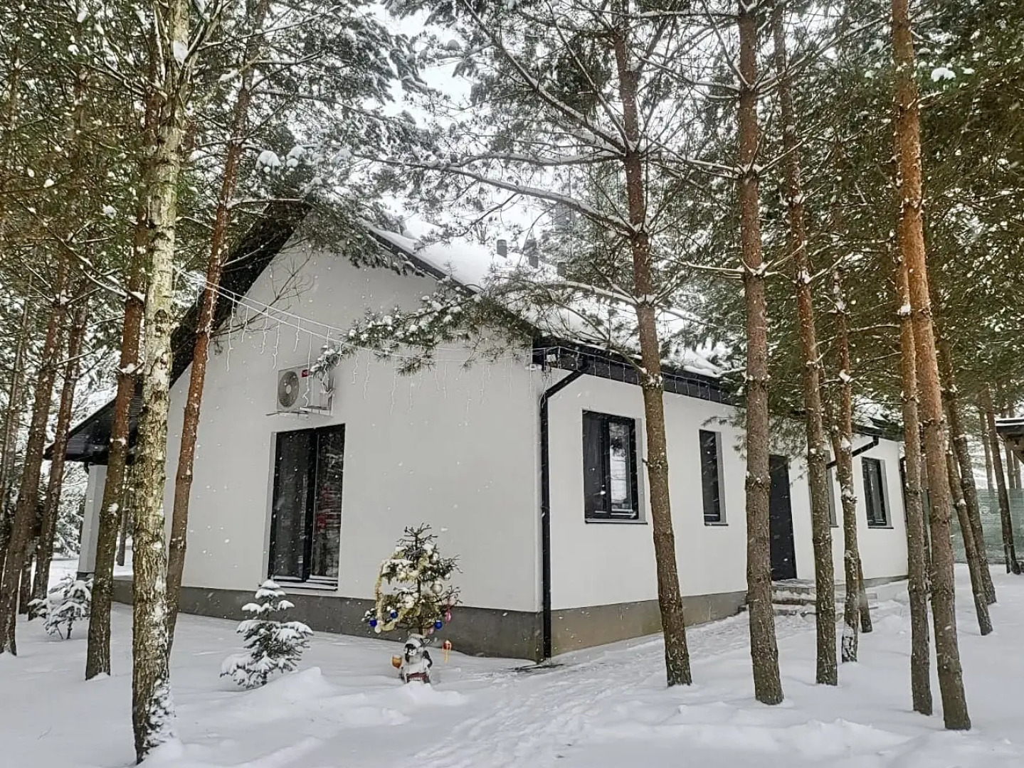 Частный дом Премиальный семейный дом в сосновом лесу