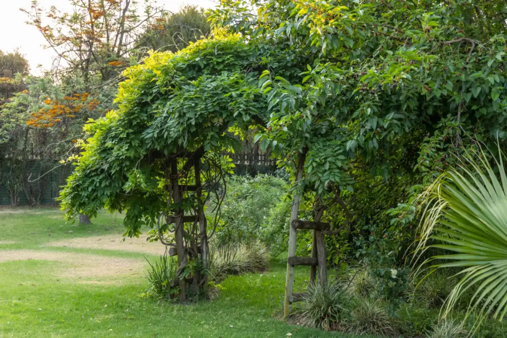 Отель Belvedere Estate