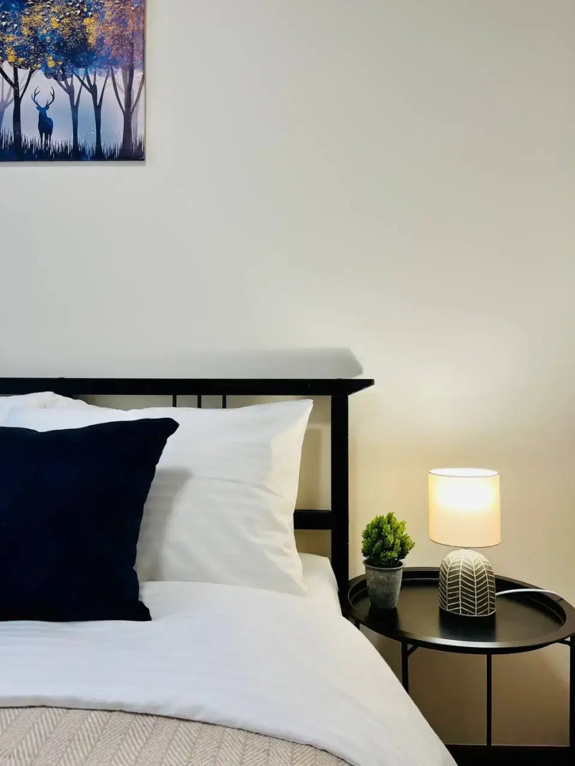 Квартира Уютная 3-х комнатная у метро Академическая