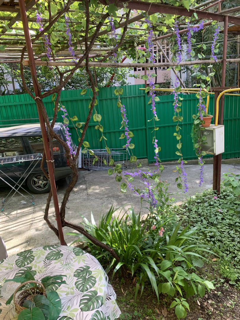 Гостевой дом Жемчужина у моря