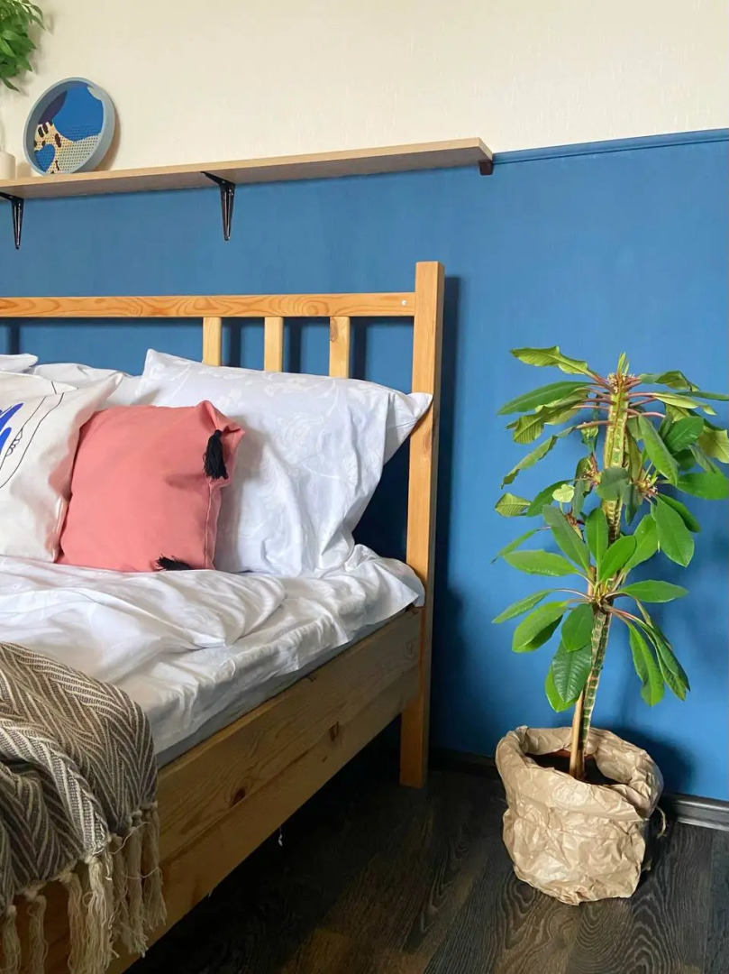 Апартаменты с видом на Воронежское водохранилище