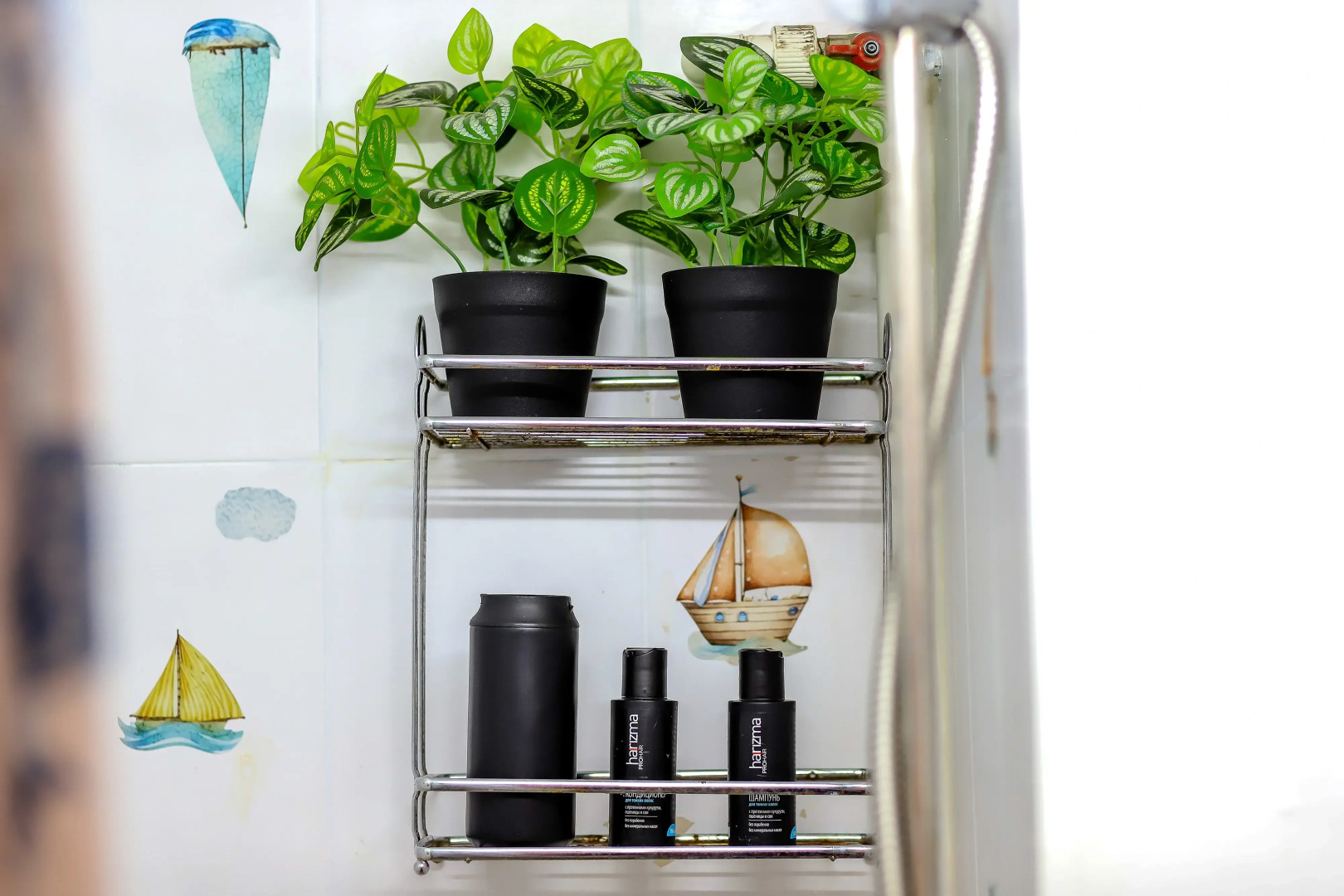 Квартира возле Михайловского замка