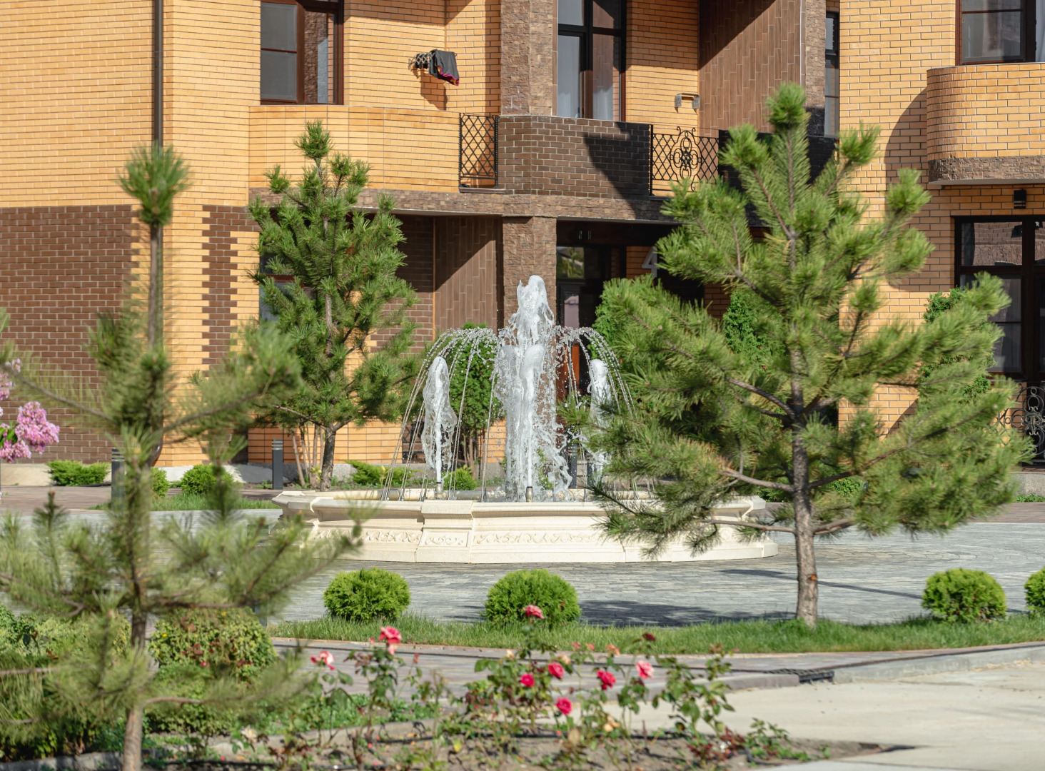 Отель Rinn Rise