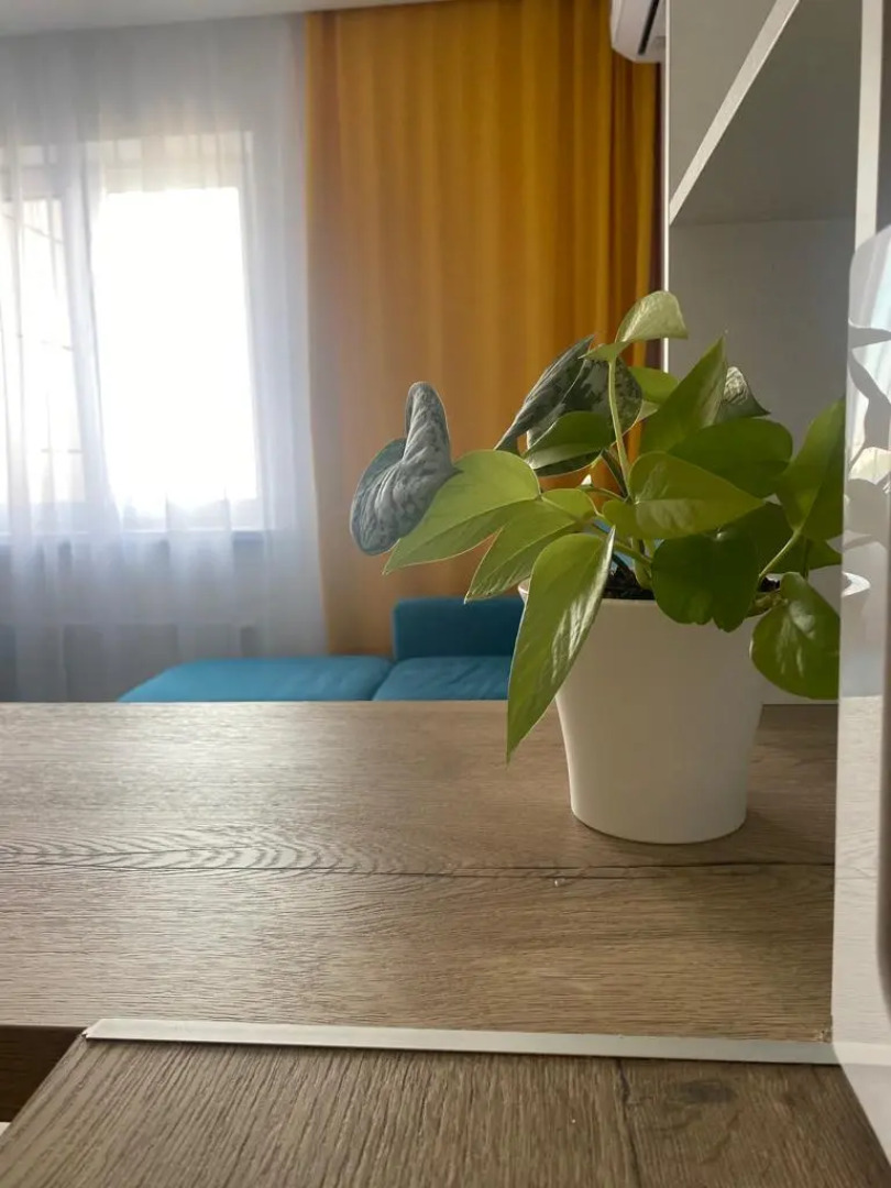 Апартаменты Комфортные семейные на Мавлютова