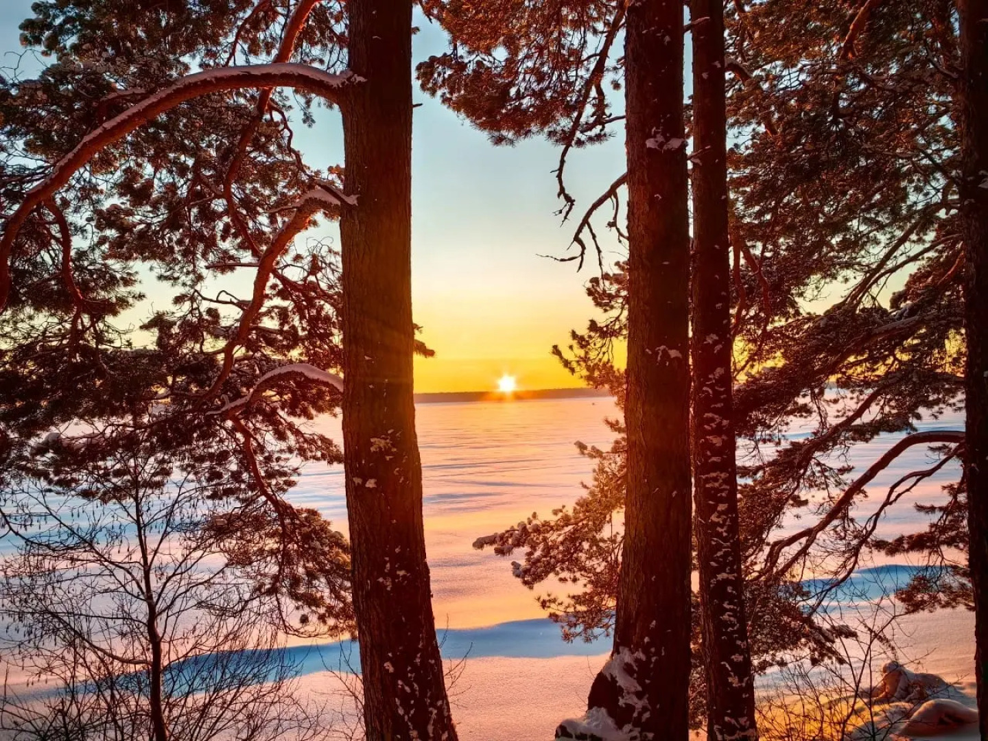Частный Дом в Турбазе Чайка у Озера