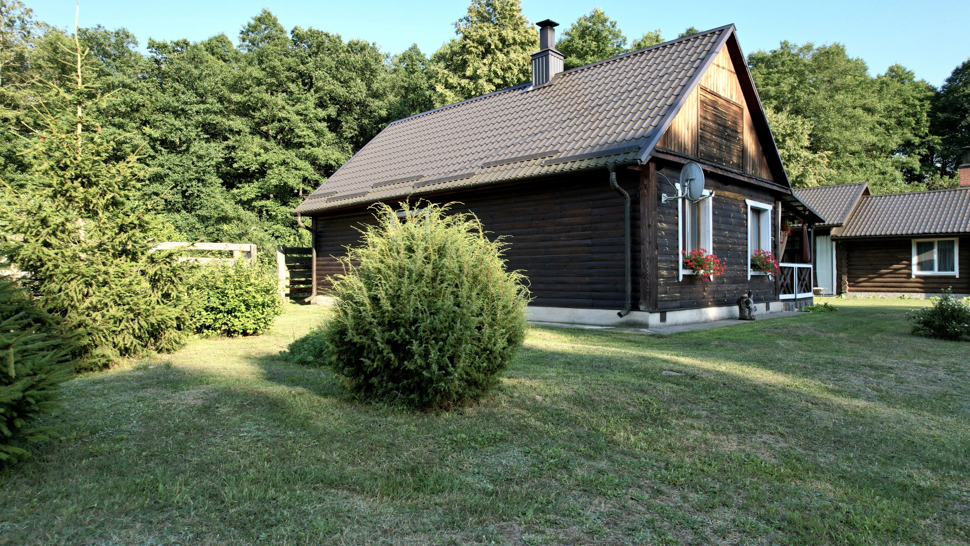 База отдыха Магия Леса