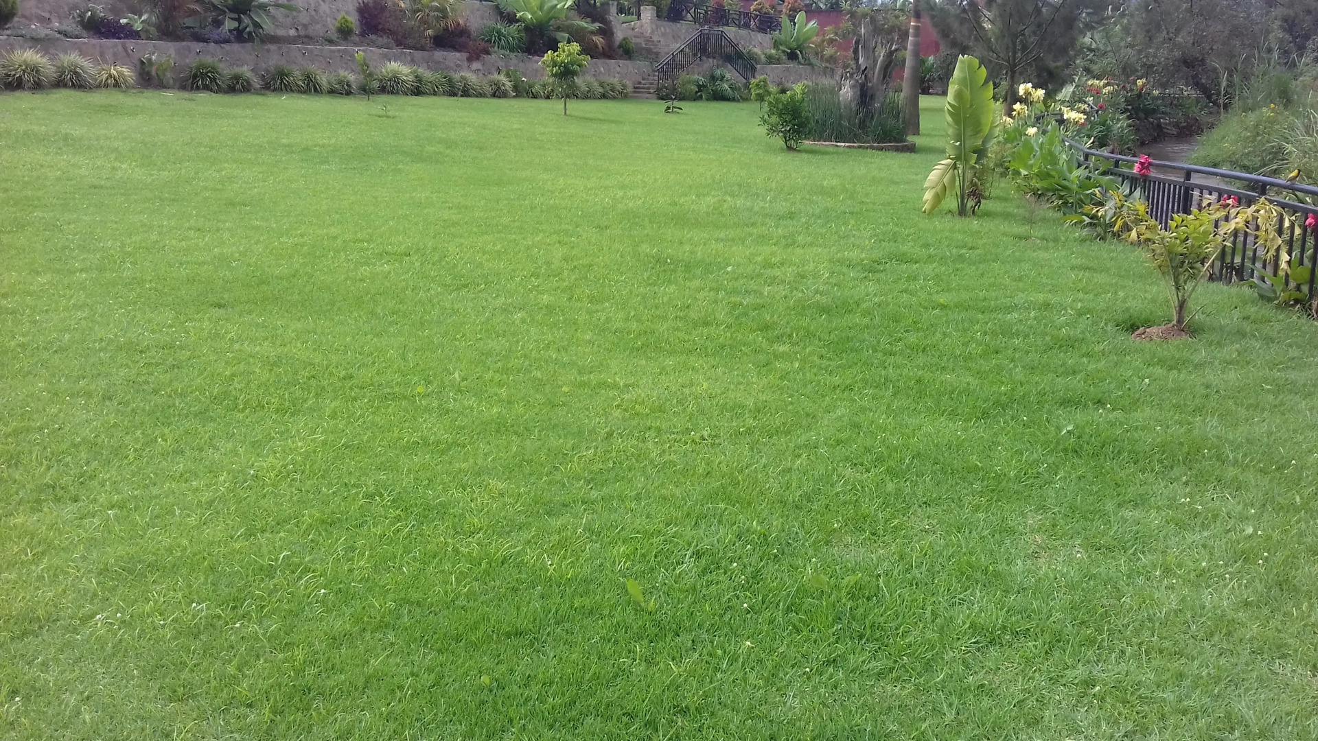 Отель Riverside Resort Kabale