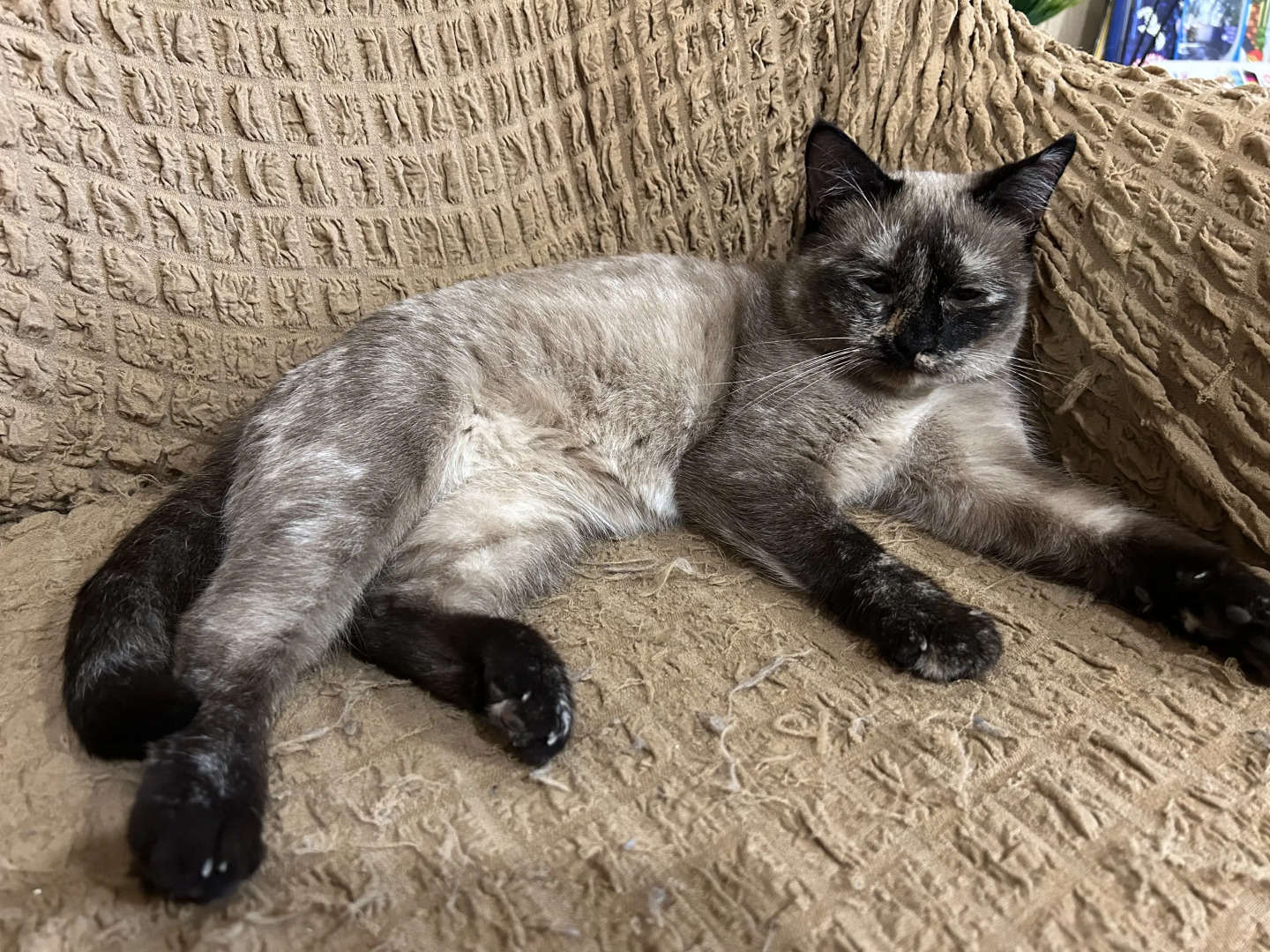 Гостиница Баргузин