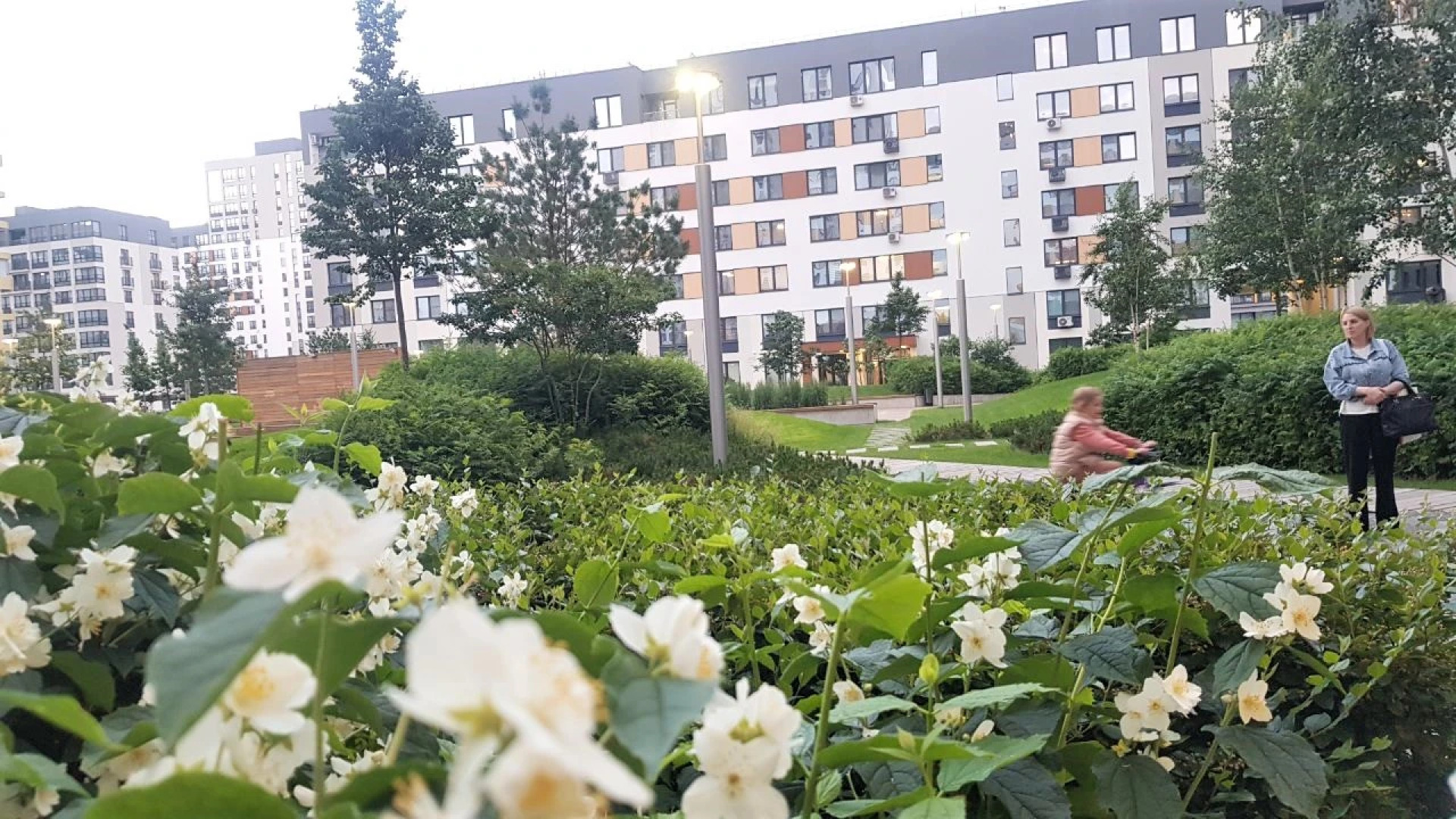 Апартаменты-студия в ЖК "Новин"