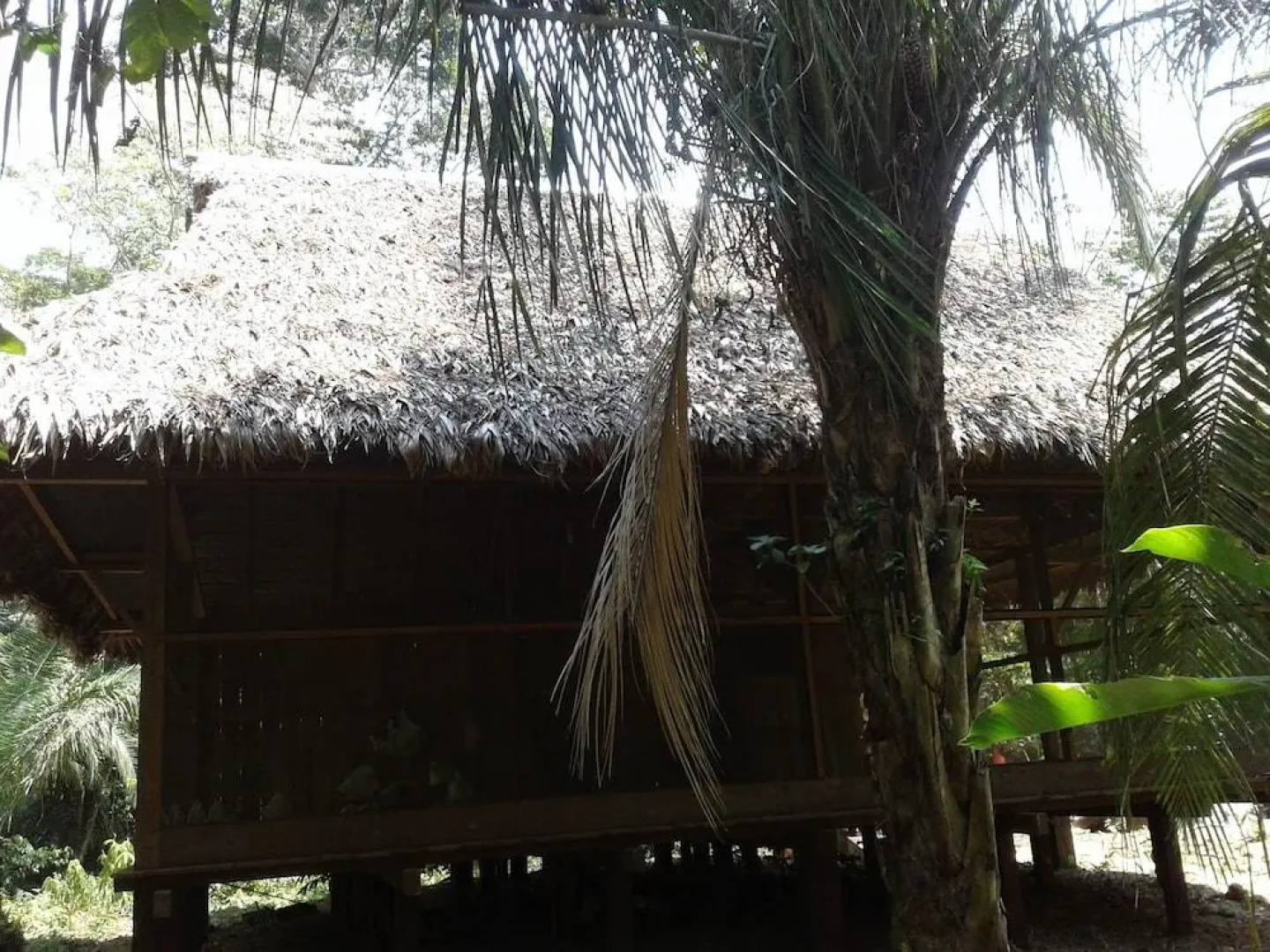 Гостевой Дом Ecolucerna Lodge