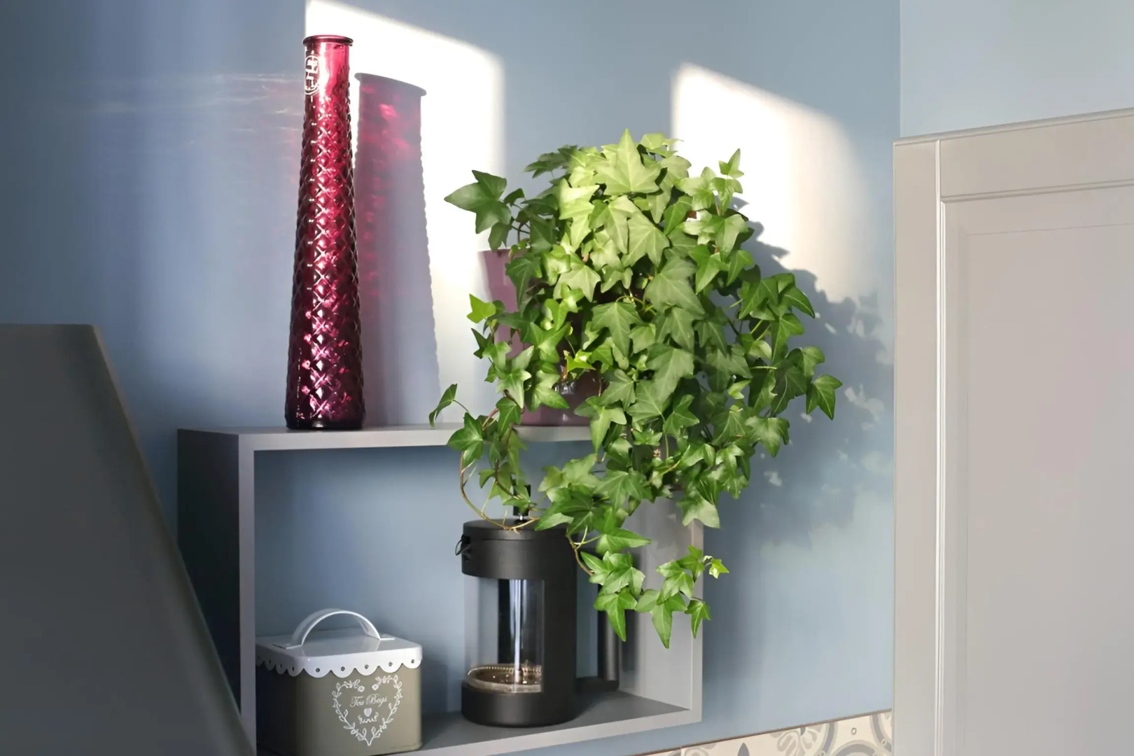 Квартира dombomb