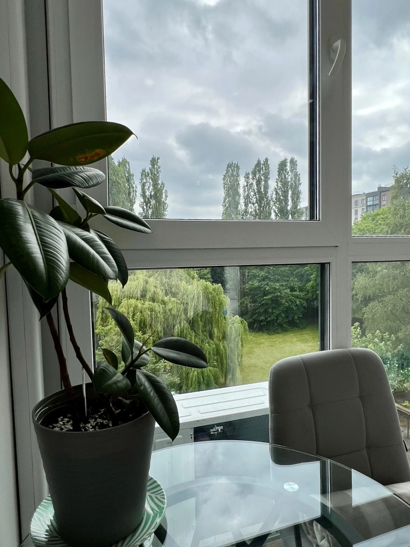 Квартира современная Клён