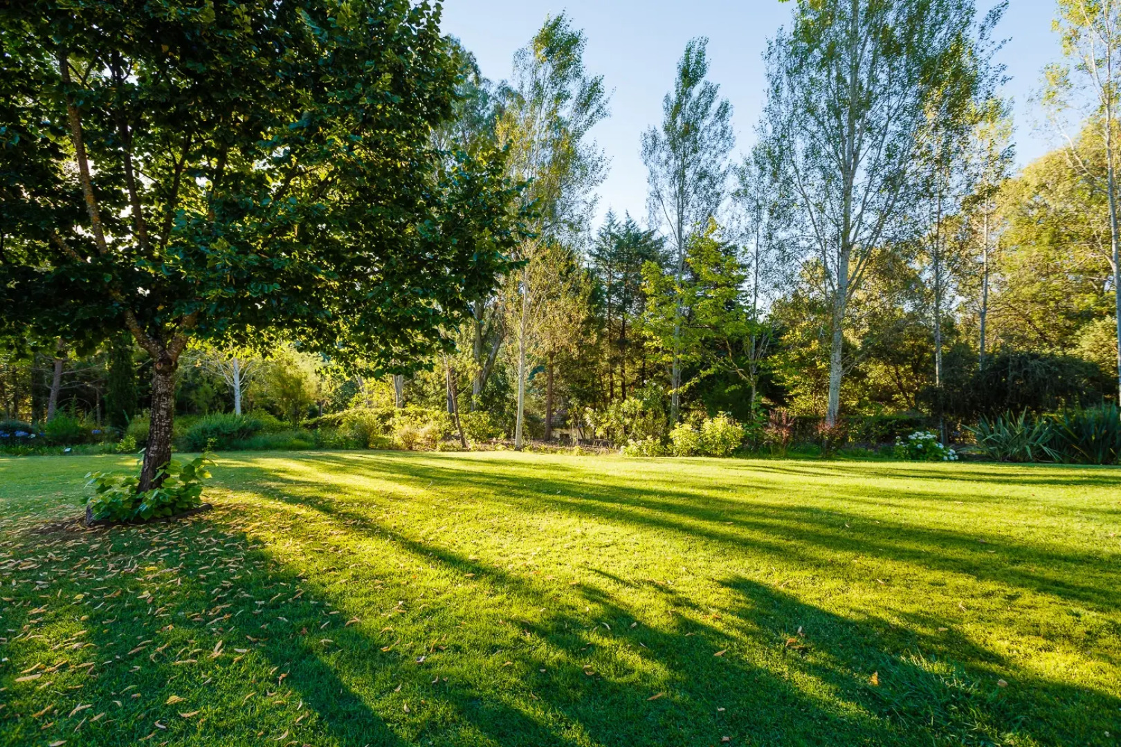 Отель Fonte Santa