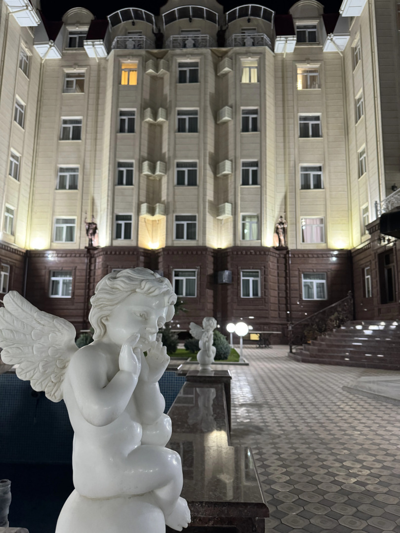 Отель Alexander