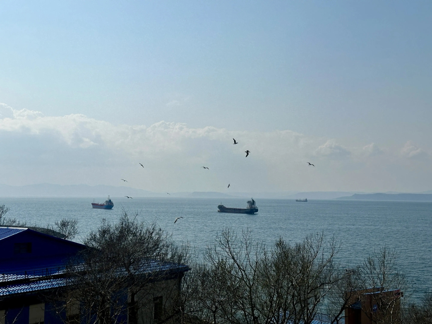 Квартира на Станюковича 54г с видом на море