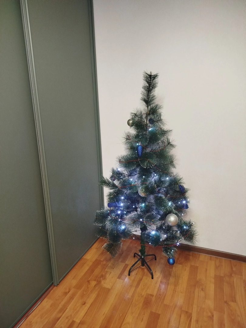 Апартаменты Флора в пешей доступности от Южного вокзала