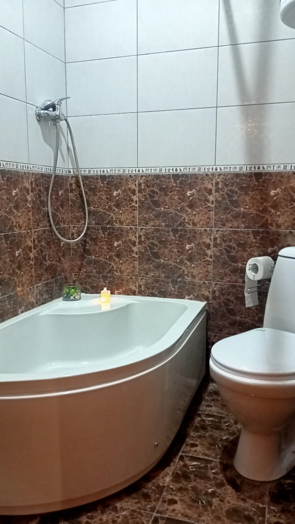 Квартира  на Берегу Озера с Лебедями