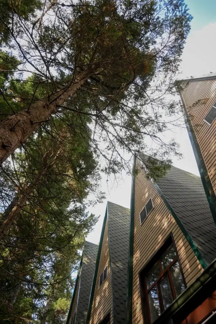 Отель Миснэ