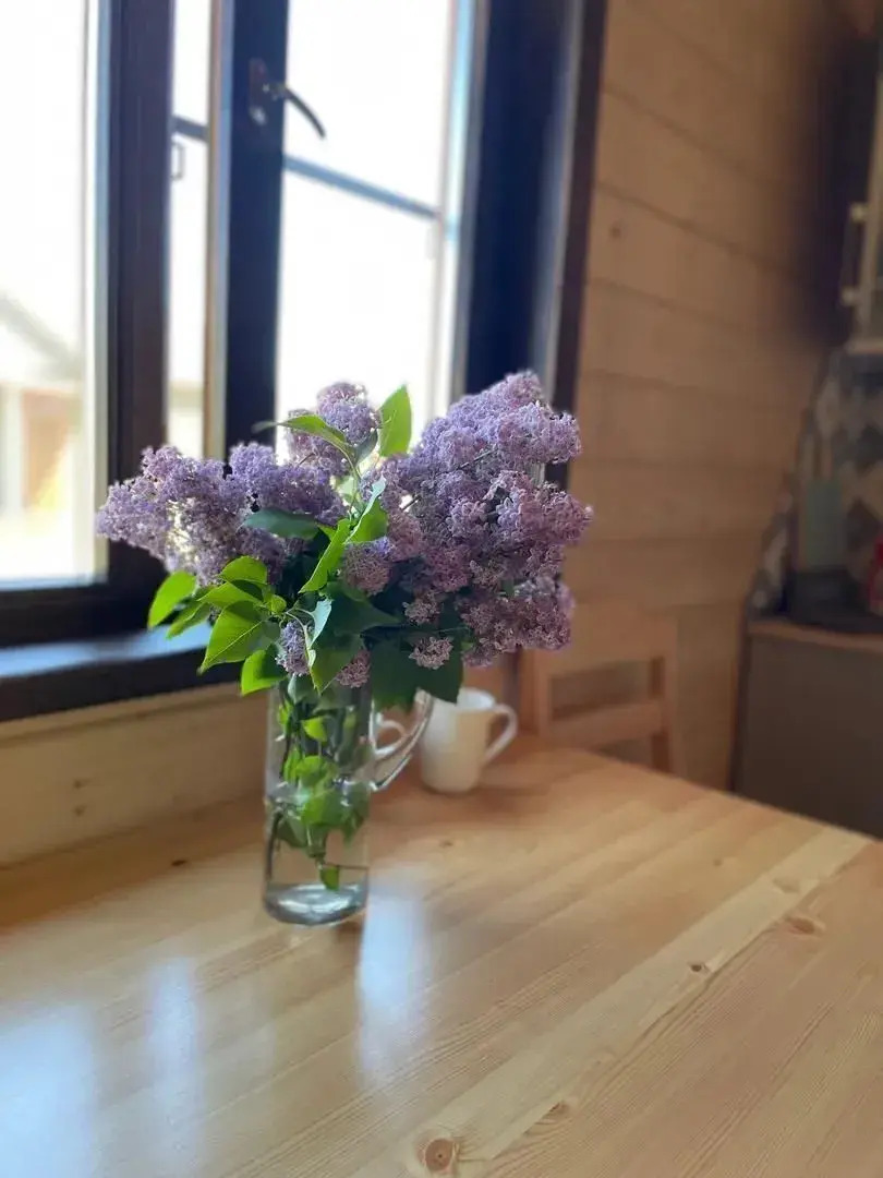 Частный дом 4 на Онежской