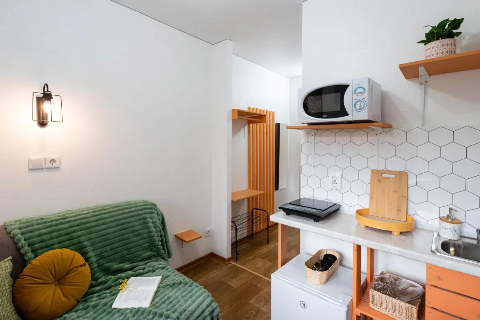 Квартира Пушкинский 1