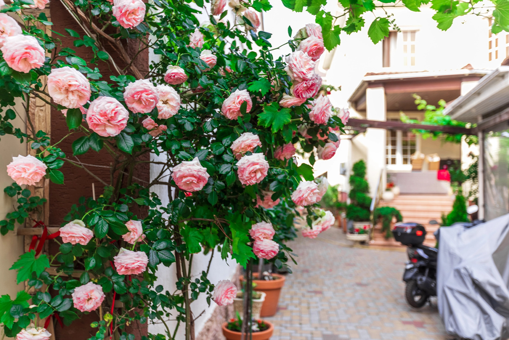 Гостевой дом Евгения