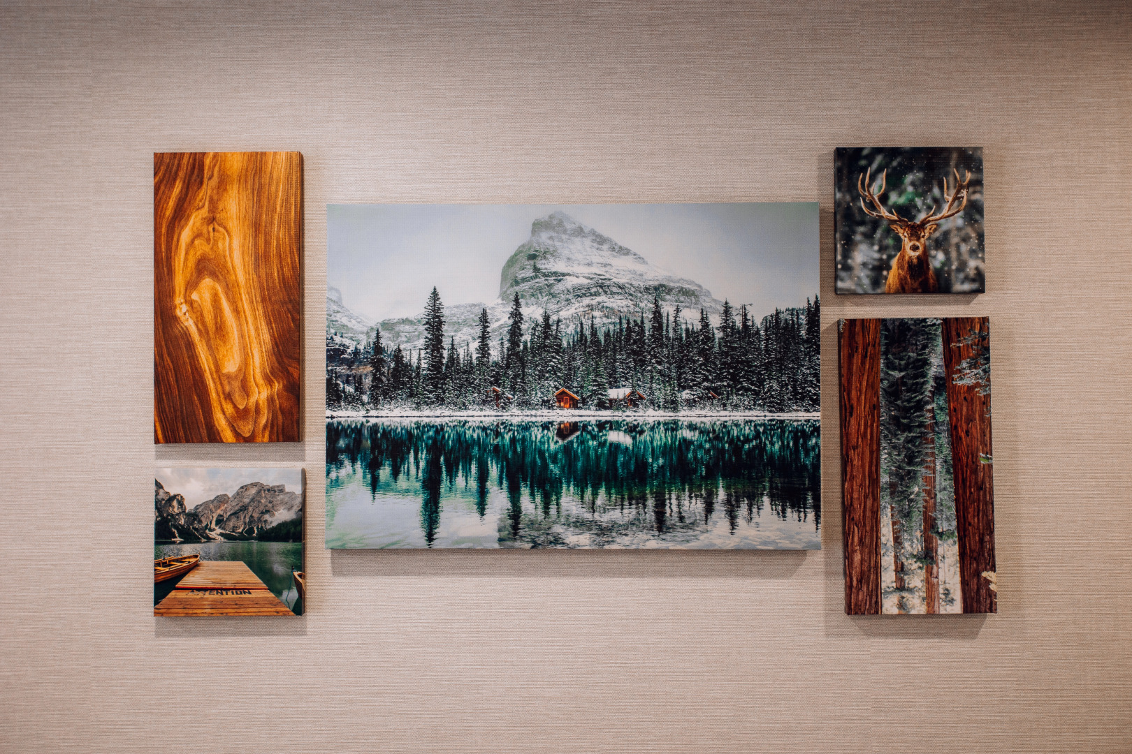 Квартира Толстой Красноармейский 8