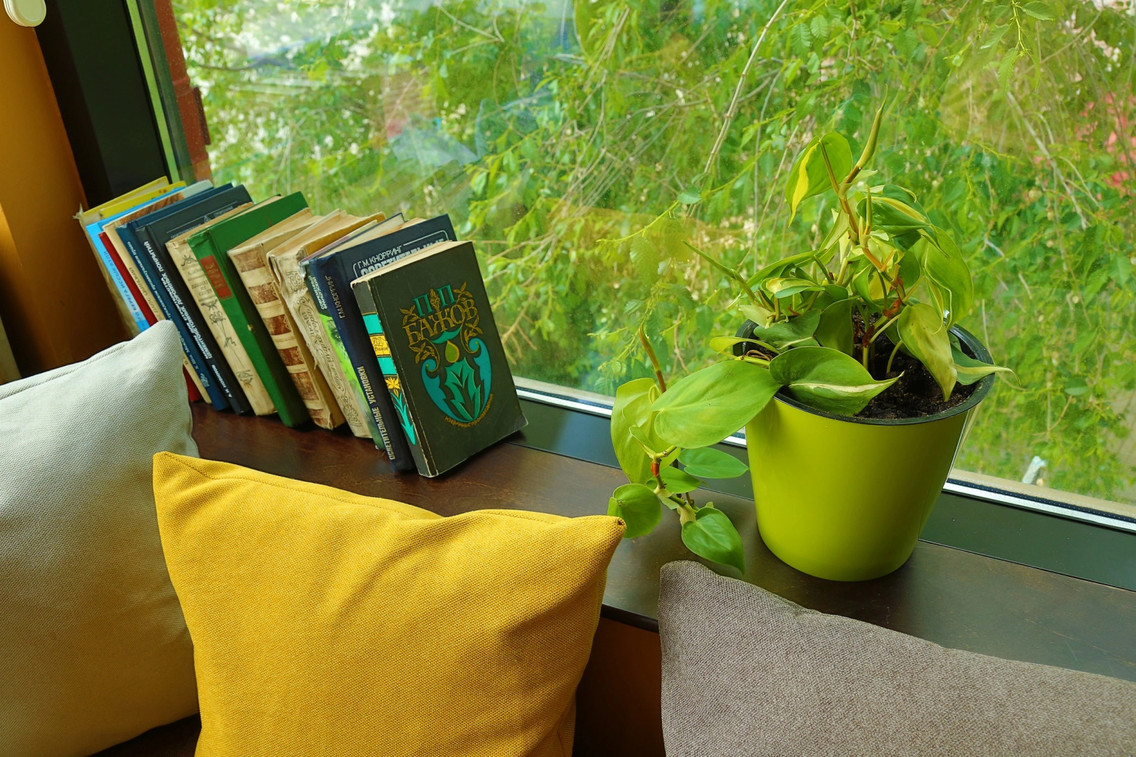 Отель Маданур