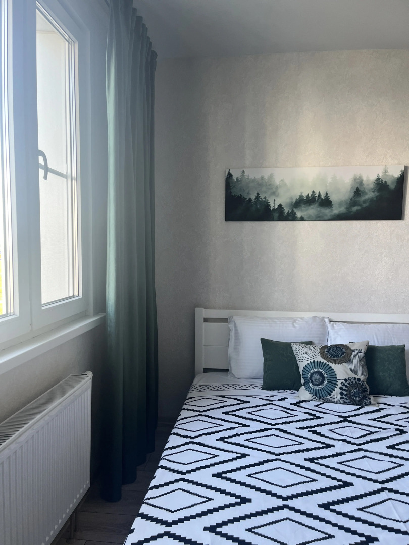 Квартира FroLove Aparts Сканди