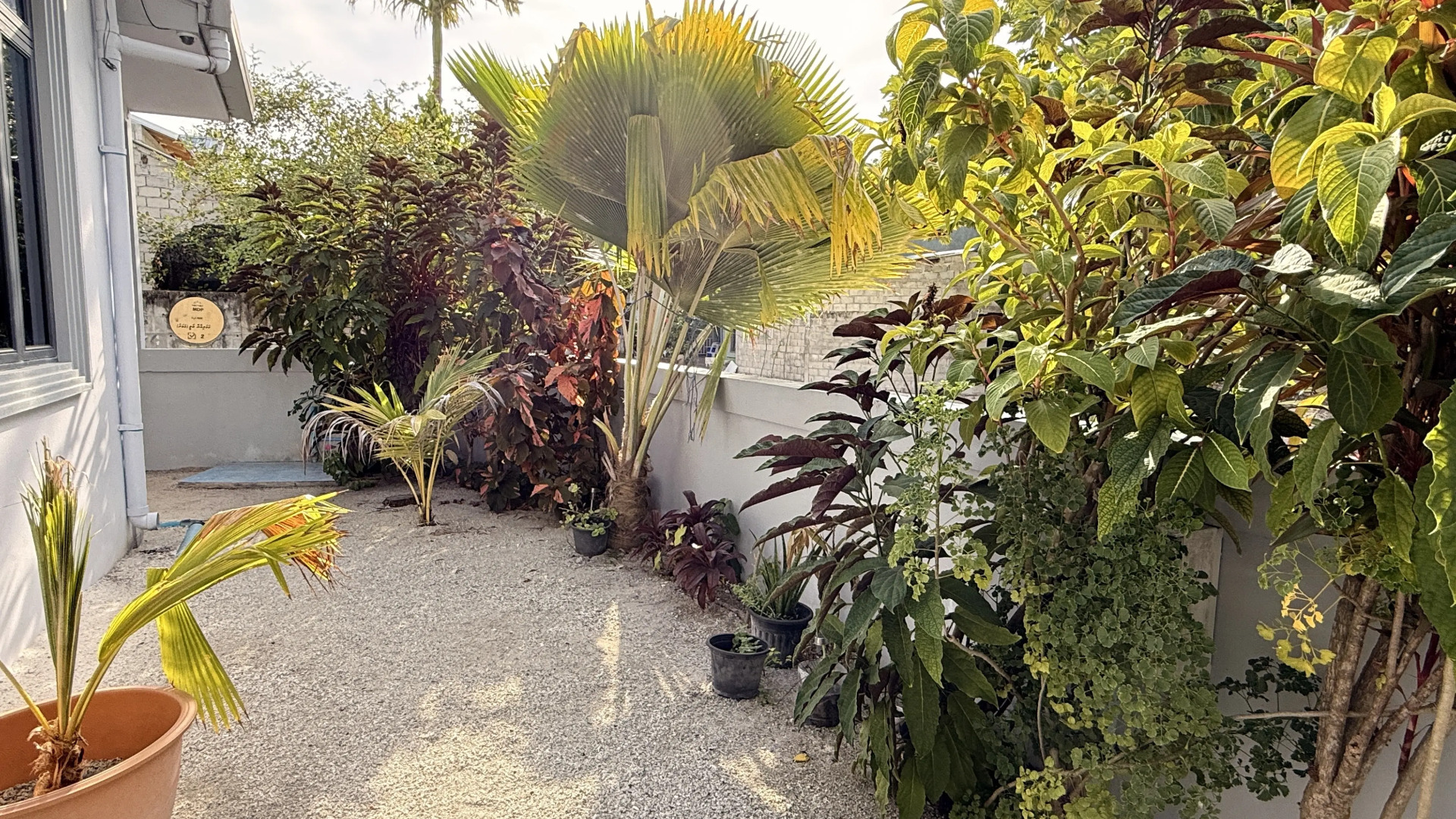 Гостевой Дом Rihiveli Inn