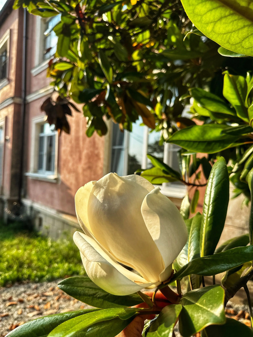 Апартаменты Рио со своим двориком и мангалом