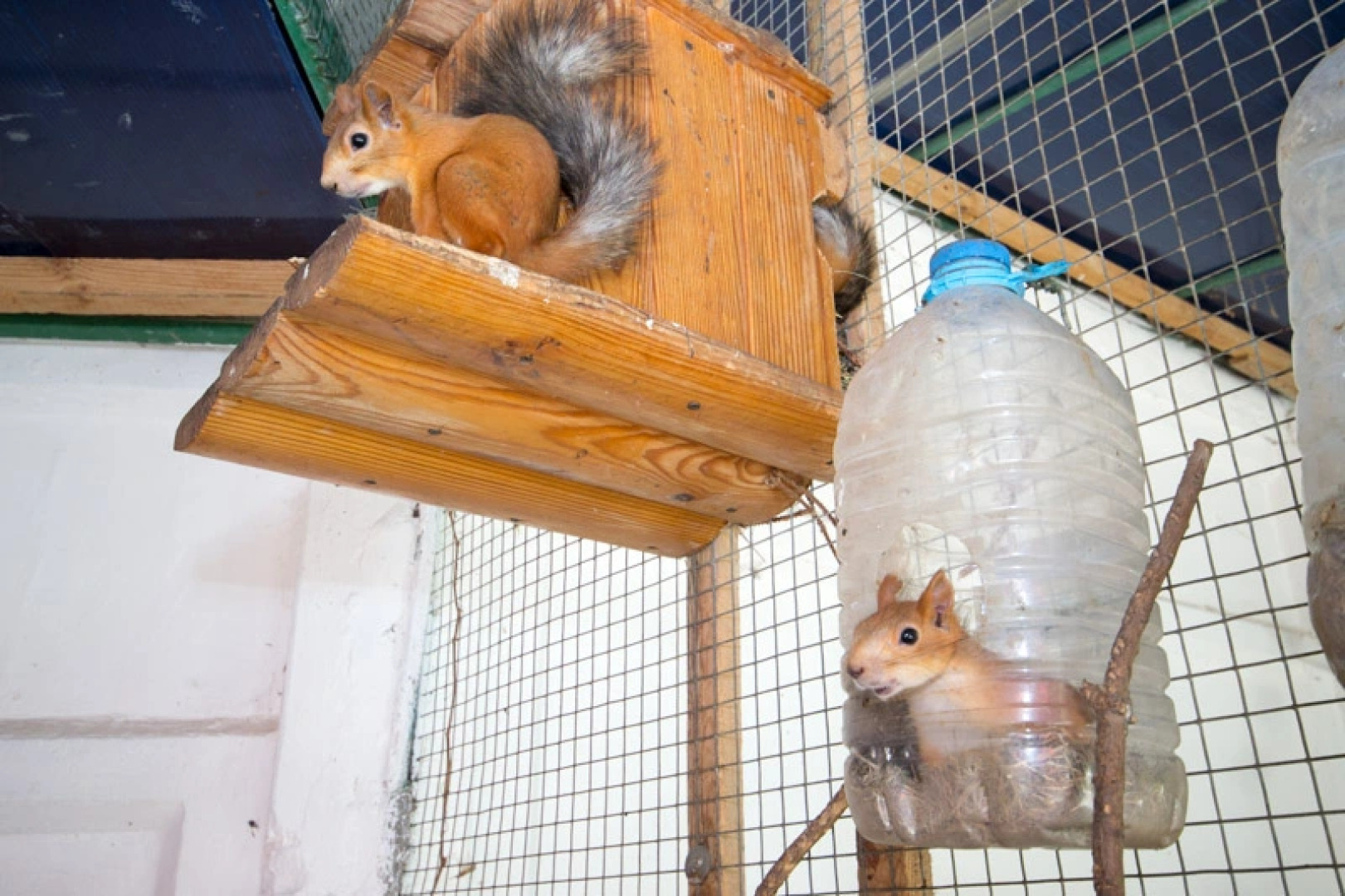 Пансионат Лазурный