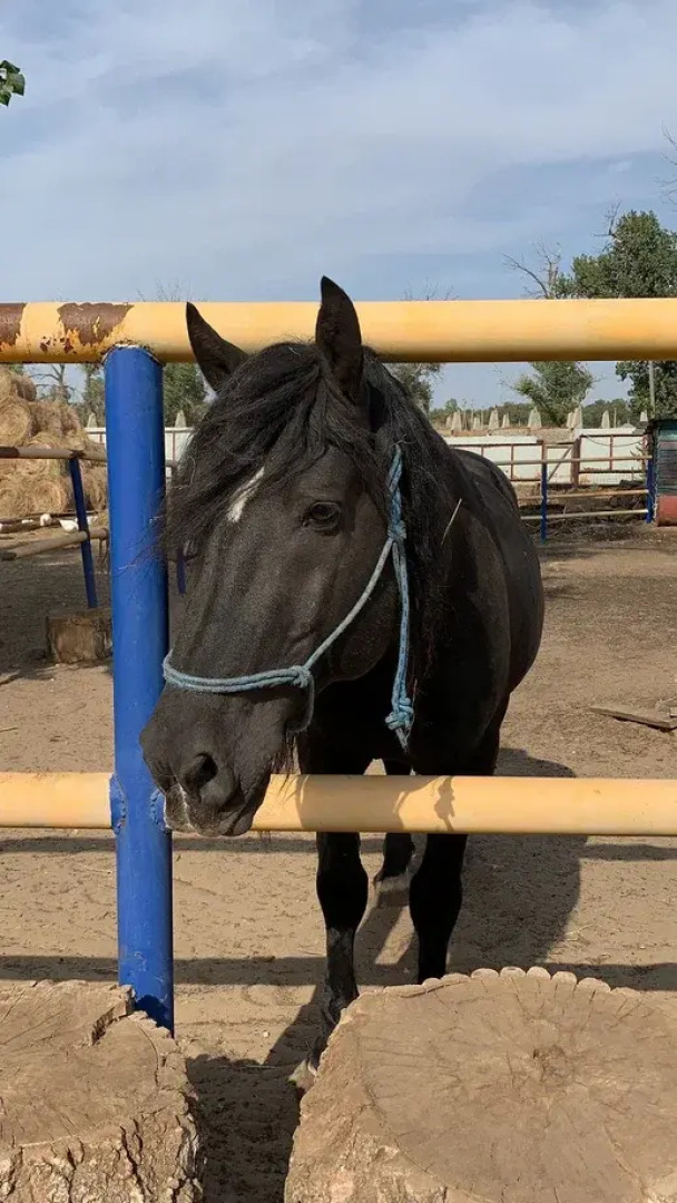 База отдыха Летучая рыба