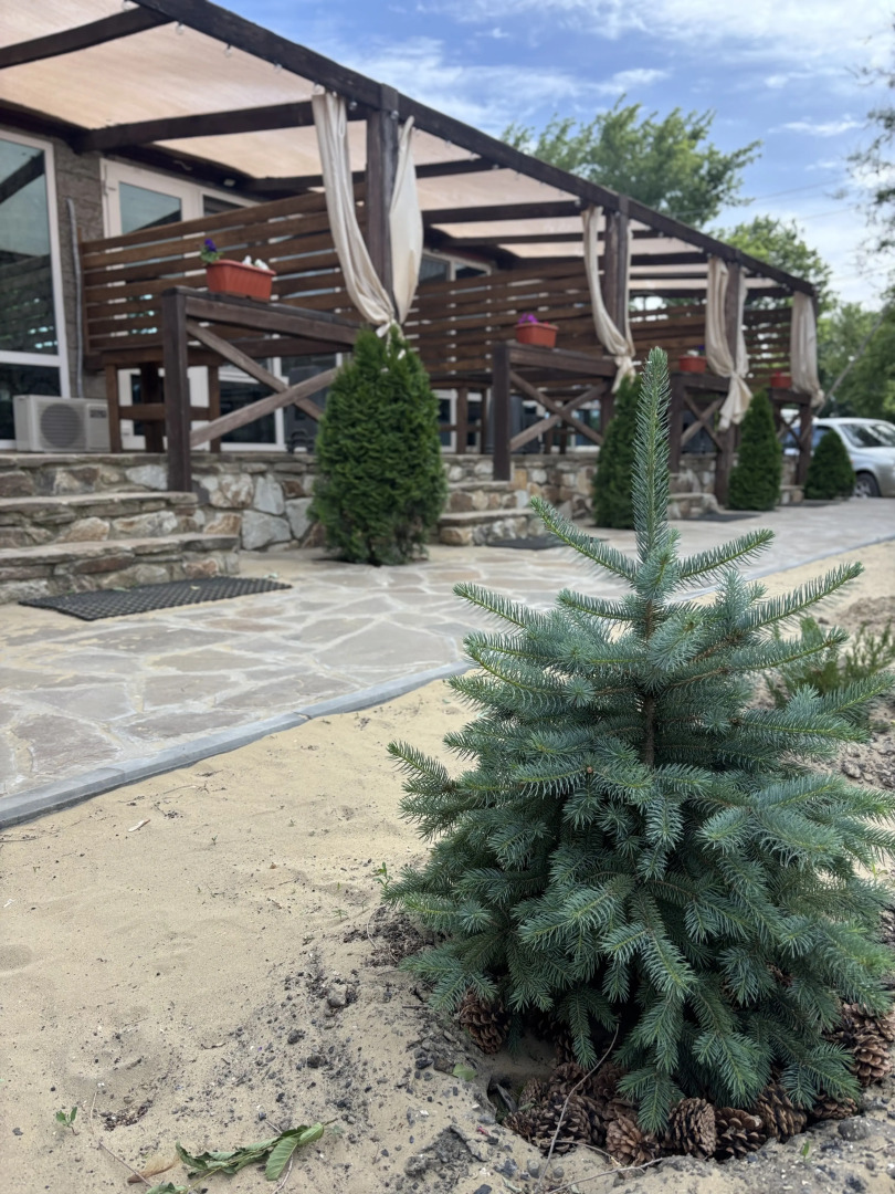 База отдыха Белуга