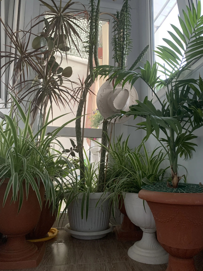 Гостевой дом Инжир