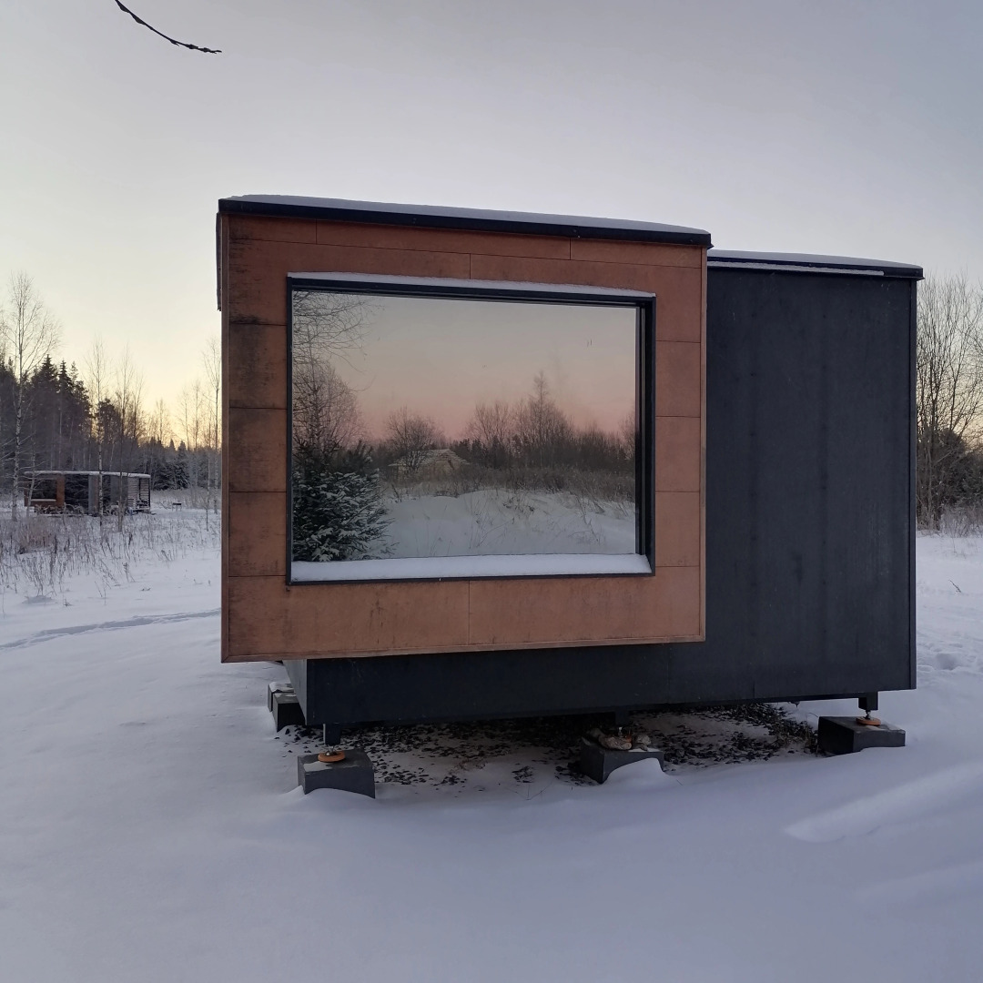 Папоротник