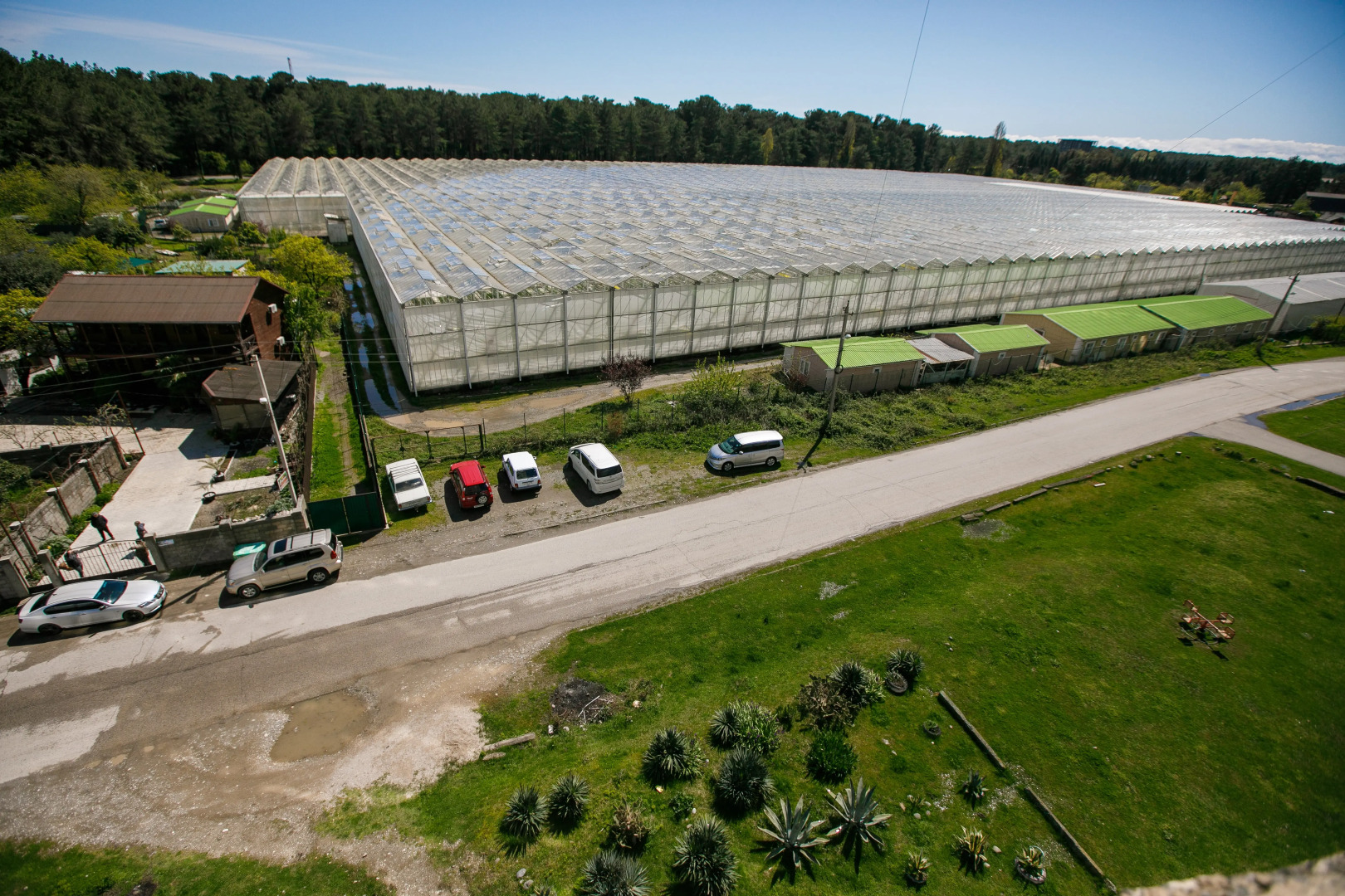 Апартаменты Двухкомнатные в Пицунде