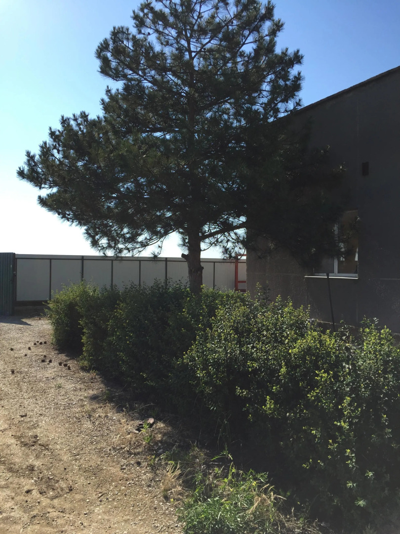 Мини-отель На море