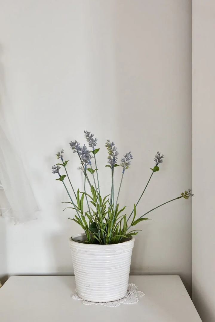 Апартаменты в Центре Бохо 1